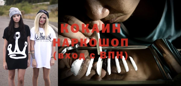 прущие грибы Абинск