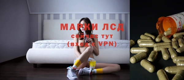 прущие грибы Абинск