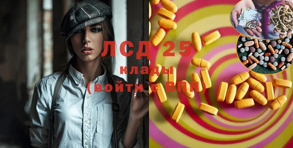 прущие грибы Абинск